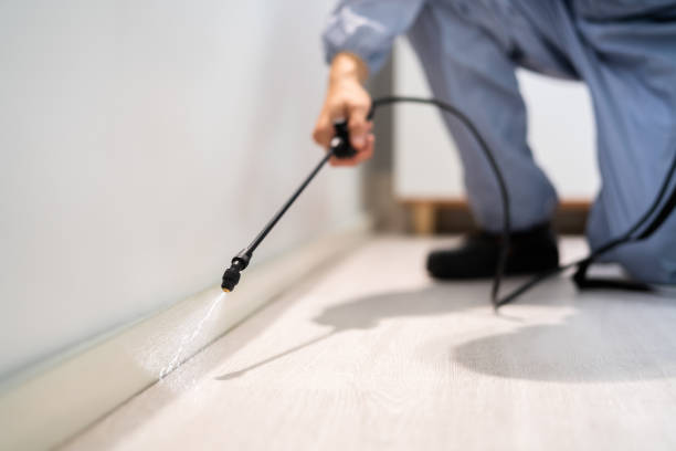 Bed Bug Pre-Treatment Preparation Assessment in Springville