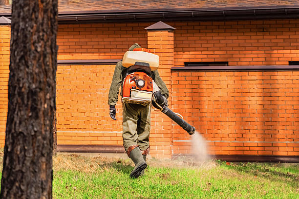 Bed Bug Clearance Verification and Documentation in Springville